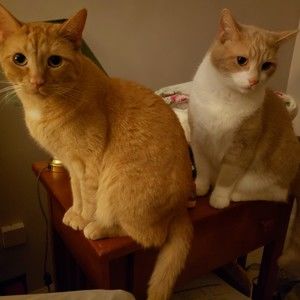 Meet your Posher, Terri